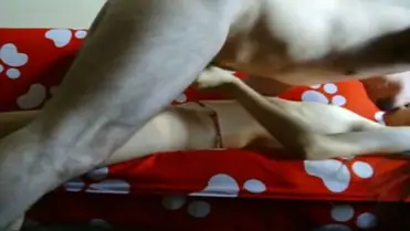 Live ABG Bispak Hotel Bintang Lima Skandal 2026